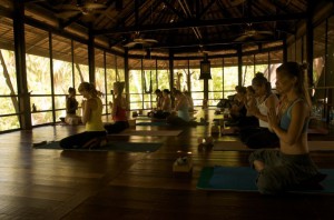 yoga in paradise