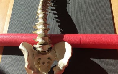 Yoga für den Rücken