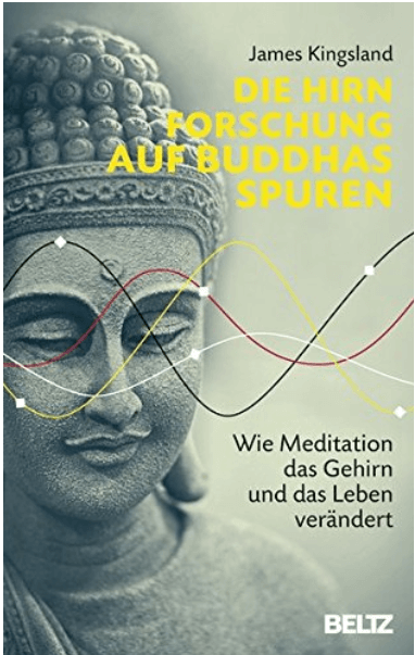 Die Hirnforschung auf Buddhas Spuren: Wie Meditation das Gehirn und das Leben verändert