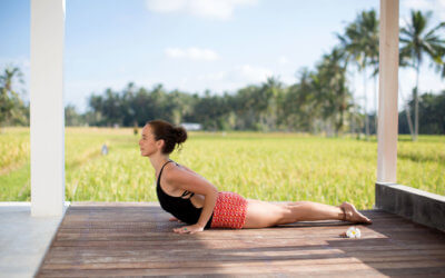 Yoga für den Rücken und neue Klassen für Dich!