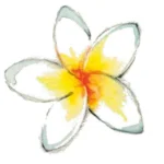 Feelgoodstudio • Yoga & TCM